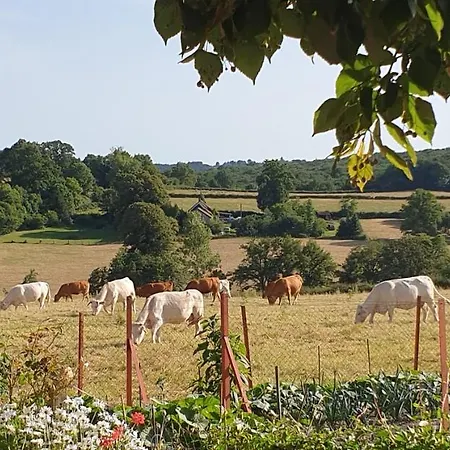 La Roulotte De Lola - D'hotes