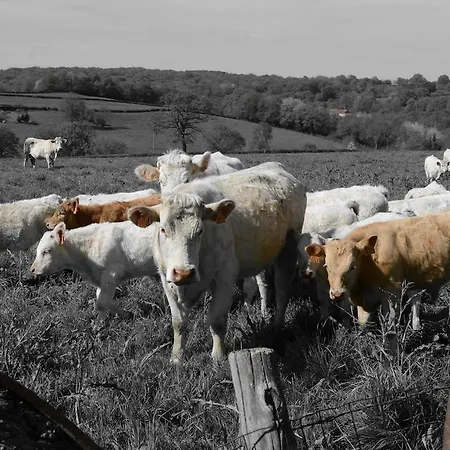 La Roulotte De Lola - D'hotes La Celle