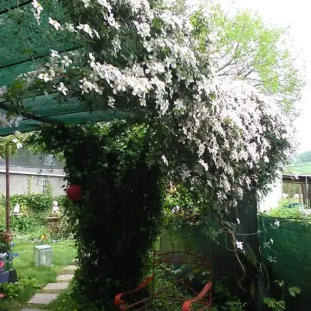 La Roulotte De Lola - D'hotes La Celle