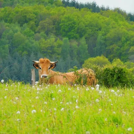 Panzió La Roulotte De Lola - D'hotes
