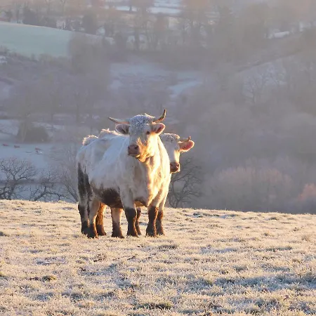 La Roulotte De Lola - D'hotes La Celle