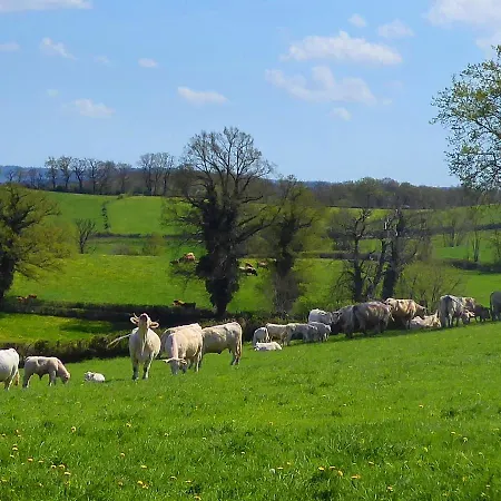 La Roulotte De Lola - D'hotes 3* La Celle